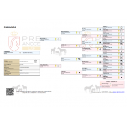 CABALLOS CABALLOS ESPAÑOLES CABALLOS EN VENTA YEGUADA YEGUAS POTROS