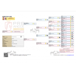 CABALLOS CABALLOS ESPAÑOLES CABALLOS EN VENTA YEGUADA YEGUAS POTROS