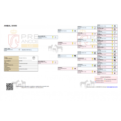 CABALLOS CABALLOS ESPAÑOLES CABALLOS EN VENTA YEGUADA YEGUAS POTROS