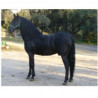 CABALLOS CABALLOS ESPAÑOLES CABALLOS EN VENTA YEGUADA YEGUAS POTROS